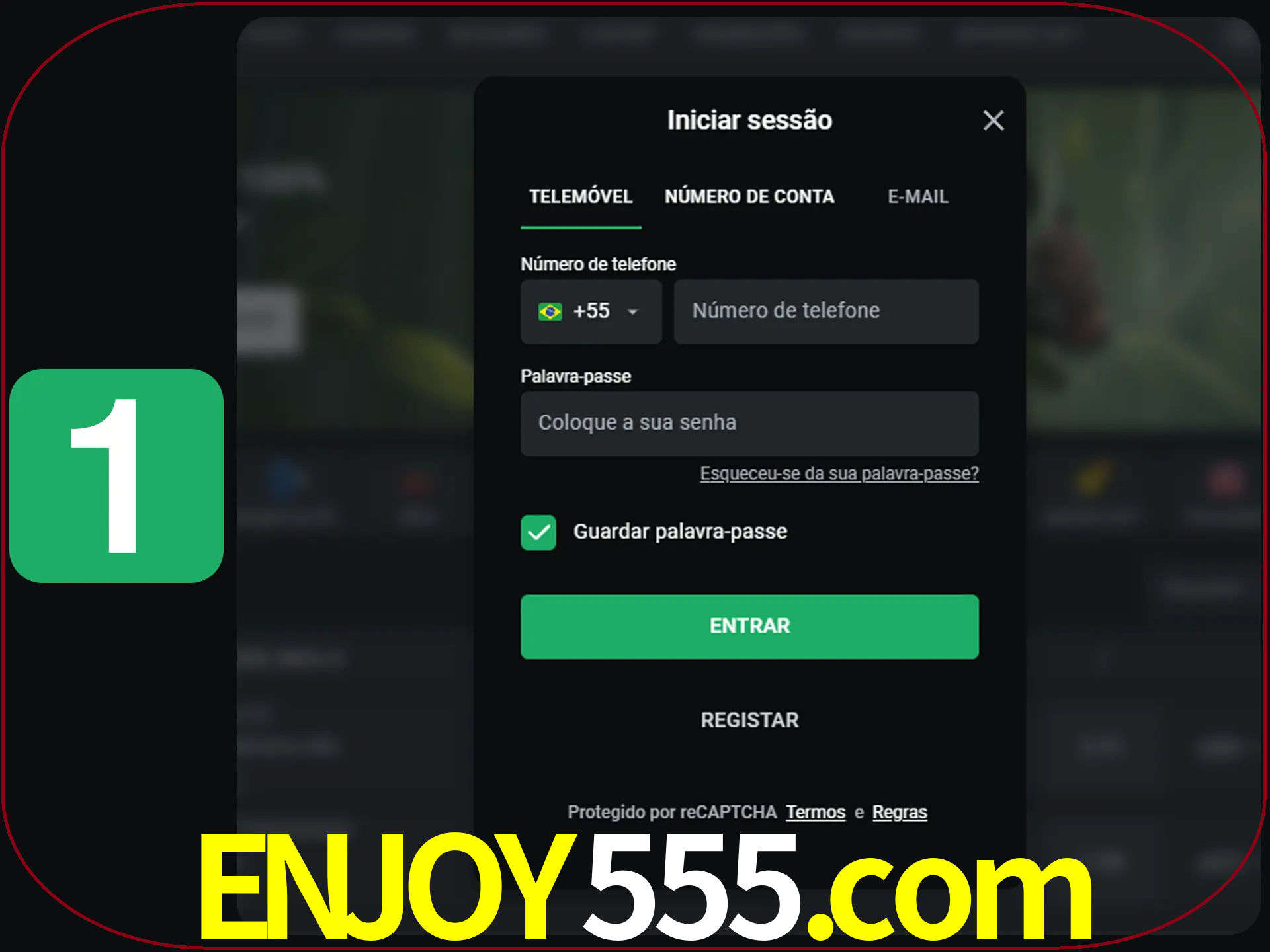 Clique no botão Entrar.